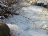Winter 2011/2012