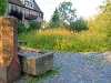 IMG_3888_Kopie2