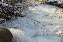 Winter 2011/2012
