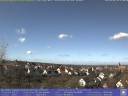 Vorschaubild von 03.03.2015 12:00