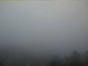 Vorschaubild von 25.01.2020 17:00